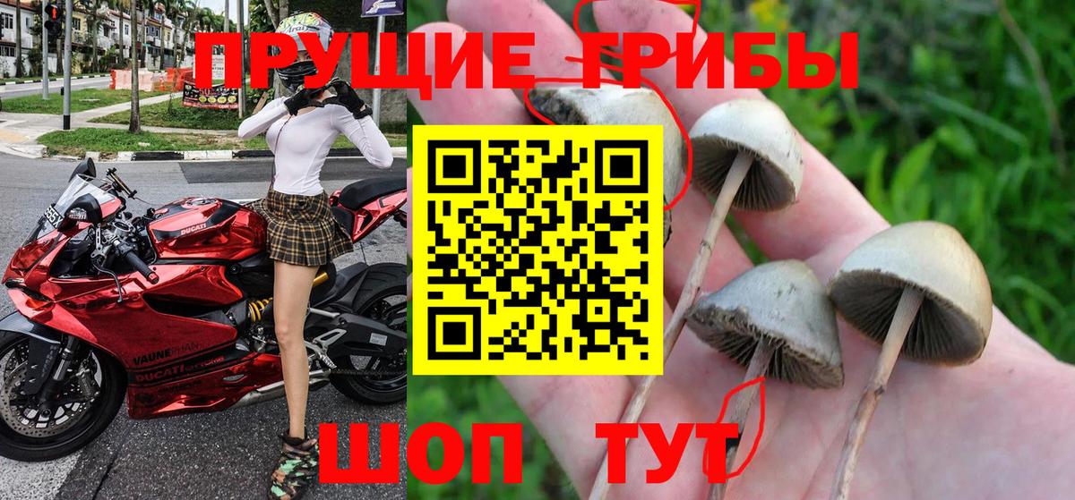как найти закладки  Вход с VPN  Курчатов  Псилоцибиновые грибы ЛСД 