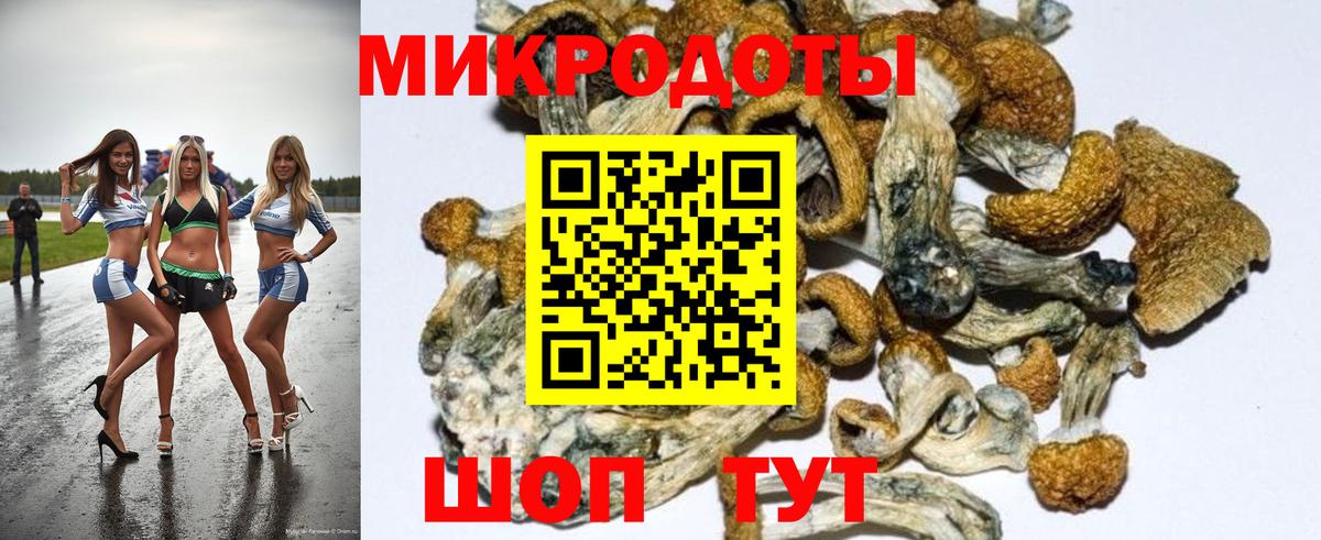 Каннабис  ТГК  Cocaine  Меф МЯУ МЯУ кристаллы  ГАШ  Курчатов  Вход с VPN  ГАШ  АМФЕТАМИН  